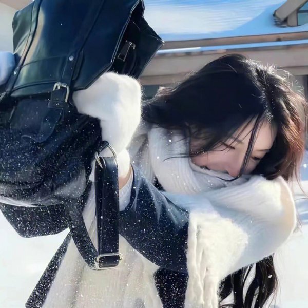 飞向月球